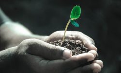 formación para empresas Norma ISO 14001